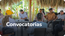 Covocatorias